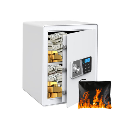 VALINIRT 19.7-Inch Tall Biometric Home Safe with Fingerprint & Digital Keypad, Anti-Pry Design and Alarm
