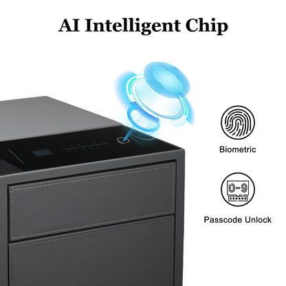 2 Drawers Smart Jewelry Safe Box with Fingerprint, Bluetooth & Auto Open