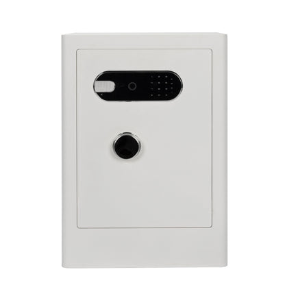 3.38 Cu Biometric Home Safe Box with Fingerprint Lock Dual Alarm and LED Light