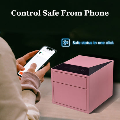 2 Drawers Smart Jewelry Safe Box with Fingerprint, Bluetooth & Auto Open