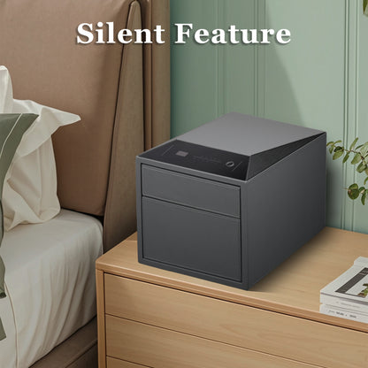2 Drawers Smart Jewelry Safe Box with Fingerprint, Bluetooth & Auto Open