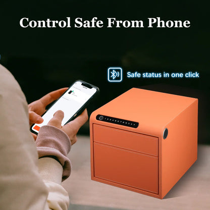 2 Drawers Smart Jewelry Safe Box with Bluetooth, Fingerprint Lock & Auto Open