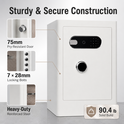 3.38 Cu Biometric Home Safe Box with Fingerprint Lock Dual Alarm and LED Light