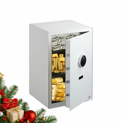 Fingerprint Safe Box with Alarm, LED Light & Removable Shelves